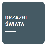 Drzazgi świata